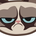 https://s1.coincarp.com/logo/1/grumpycat-sol.png?style=36&v=1732235807's logo