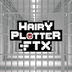 HairyPlotterFTX's Logo