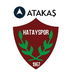 Hatayspor Token's Logo