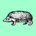 Hedgehood's Logo
