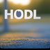 HODL's Logo