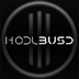 HodlBUSD's Logo