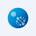 HPSP Tokenized Stock's logo