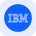 IBM Tokenized Stock (Reality)'s logo