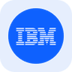 IBM Tokenized Stock (Reality)'s Logo