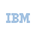 IBM Tokenized Stock (Robinhood)