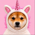 INU's Logo