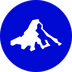 Invesco Ltd Tokenized Stock's Logo