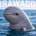  Irrawaddy dolphin