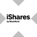 iShares MSCI Taiwan tokenized ETF (xStock)'s Logo