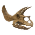 Jurassic Finance's Logo