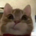 jeff (justjeff.xyz)