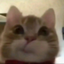 jeff (justjeff.xyz)'s Logo