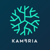 Kambria Yield Tuning Engine's Logo