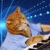 Keyboard Cat's Logo
