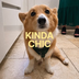 Kinda Chic's Logo