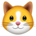 KittenFinance's Logo