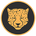 Kitty Kat Coin