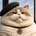 Le gros chaton