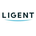 Ligent Tokenized Stock