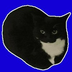 Maxwellcat's Logo