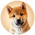 MEEKO's Logo