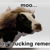 Memory cow Moo's Logo