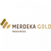 Merdeka Gold Tokenized Stock (06228)'s Logo