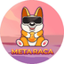 MetaRaca's Logo