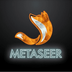 Metaseer's Logo