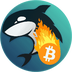 MetaWhale BTC's Logo