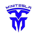 MiniTesla's Logo