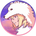 https://s1.coincarp.com/logo/1/miyazaki-inu.png?style=36&v=1638149851's logo