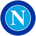 https://s1.coincarp.com/logo/1/napoli-fan-token.png?style=36&v=1649060094's logo