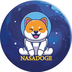 Nasa Doge's Logo