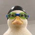 Nasduck's Logo