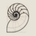 Nautilo's logo