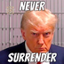 NEVER SURRENDER's Logo