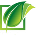 NFSC's Logo