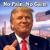 No Pain No Gain's Logo