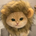 https://s1.coincarp.com/logo/1/not-a-lion-a.png?style=36&v=1712568956's logo
