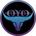 NoyodCoin's Logo