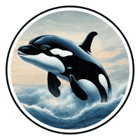 ORCA INU price now Live ORCAINU price marketcap chart and info