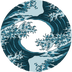 Pacific DeFi's Logo