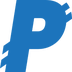 PayNet Coin's Logo