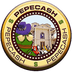 Pepe Cash's Logo