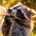 Pepper The Raccoon
