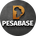 https://s1.coincarp.com/logo/1/pesabase.png?style=36&v=1653990173's logo