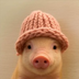 pig wif hat's Logo