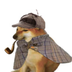Pipedog's Logo